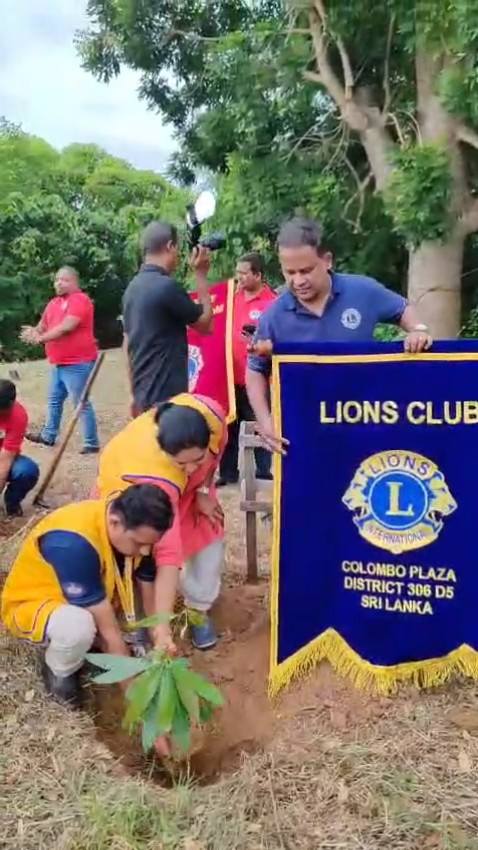 Trea Planting Initiative